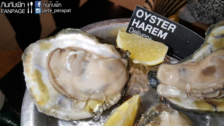 oysterharem3.3